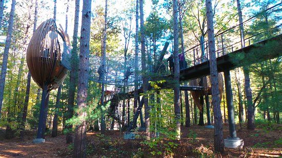 Whiting Forest of Dow Gardens